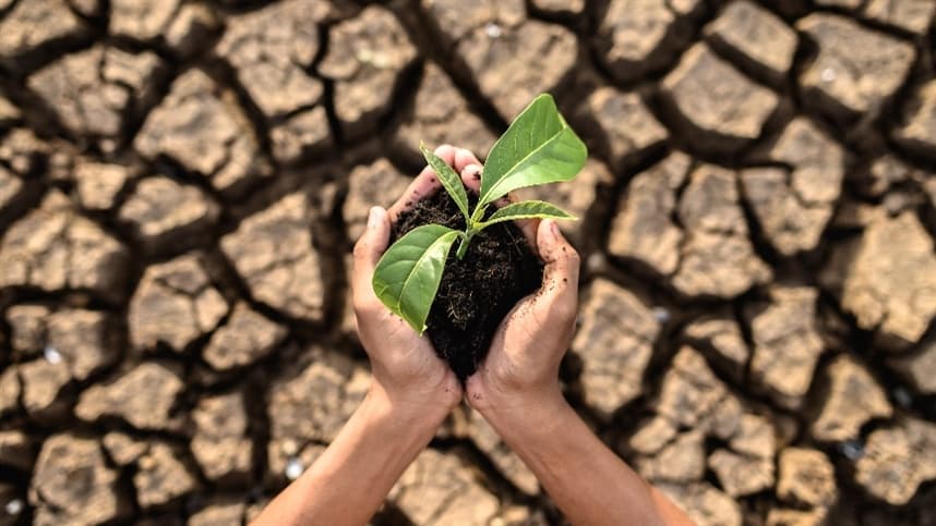 Brasil é o mais impactado pelo Super El Niño, alerta estudo