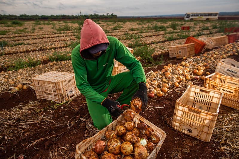 Projeto de Lei reduz jornada de trabalho e gera controvérsia no agronegócio