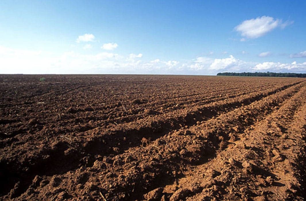 Fim do vazio sanitário marca início do plantio da soja em 2026