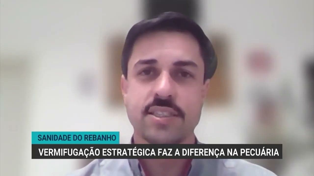 Vermifugação estratégica é essencial na pecuária