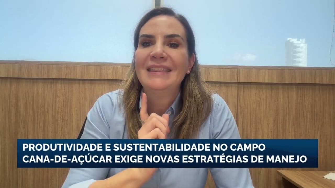 Cana-de-açúcar requer novas estratégias para produtividade em crise