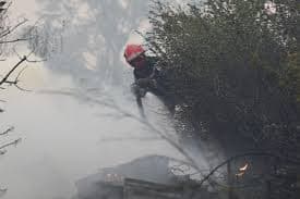 Incêndio devasta área na região de Lyon
