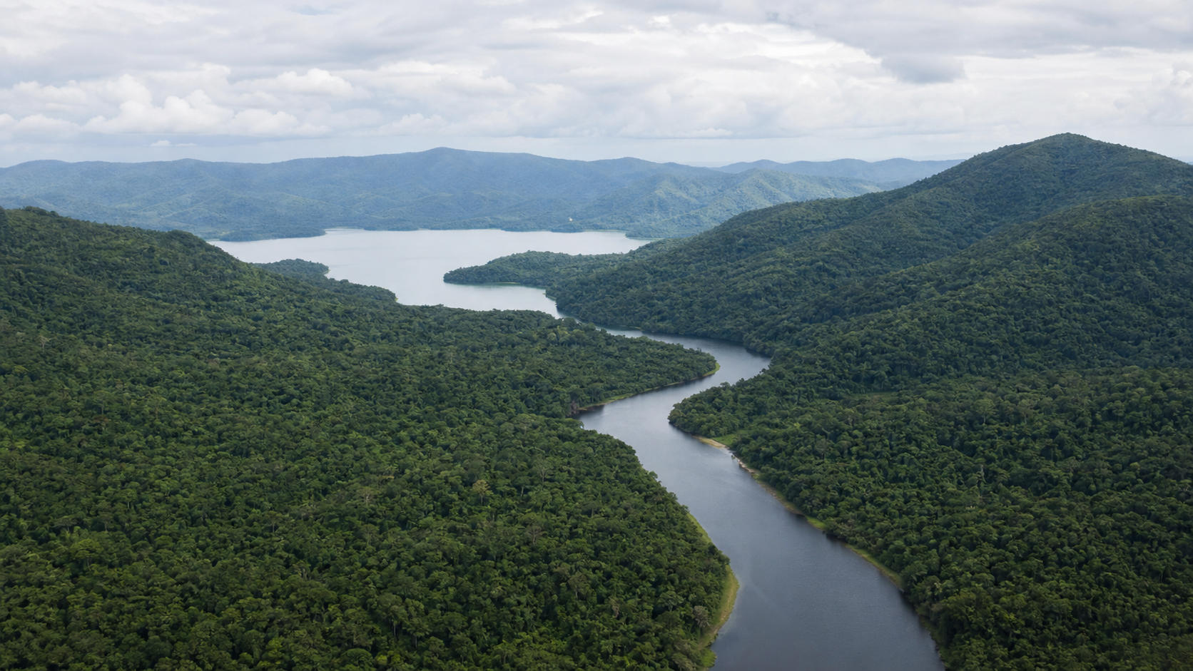 Audiência debate Mata Atlântica e adaptação às mudanças climáticas