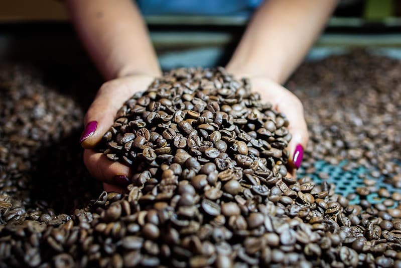 Café e cacau têm quedas significativas nas bolsas de commodities