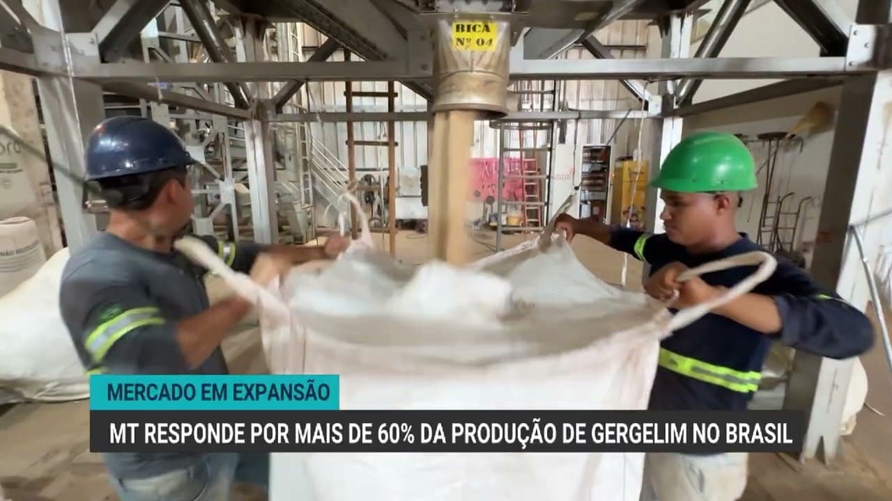Mato Grosso lidera produção de gergelim com 250% de crescimento