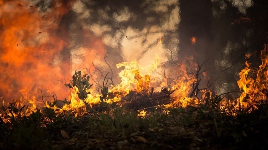 Capacitação em combate a incêndios florestais no sudeste do Pará