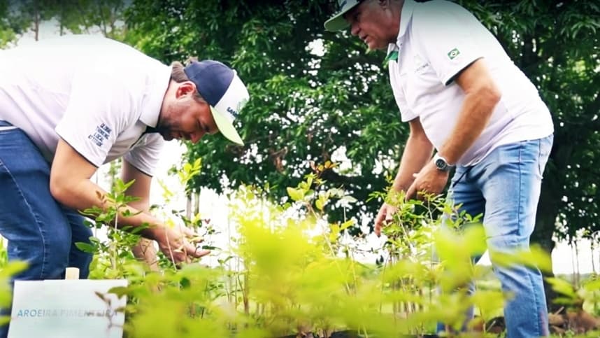 Bahia firma parceria para promover produção florestal sustentável