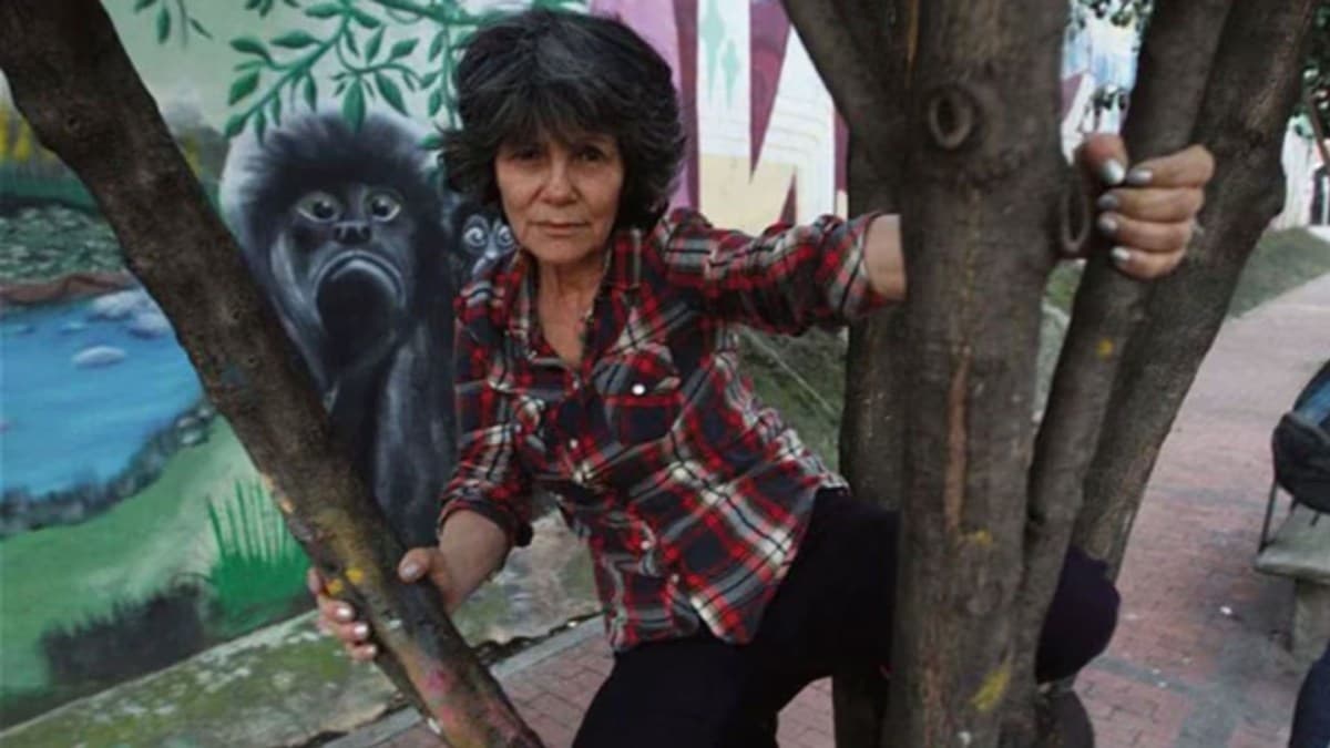 Marina Chapman relata história de sobrevivência com primatas na Colômbia