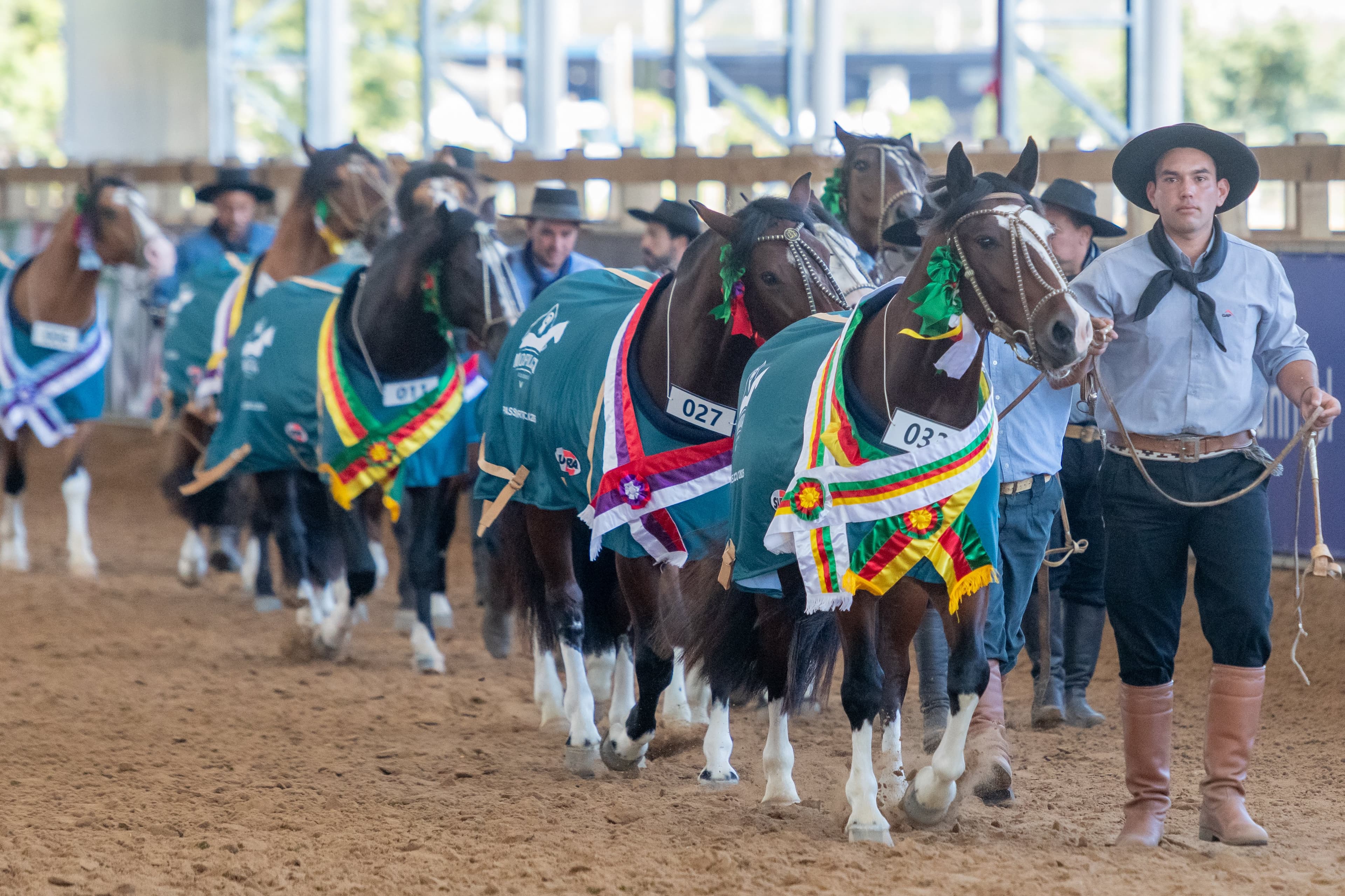 Arena do Cavalo Crioulo recebe classificatórias para o Freio de Ouro