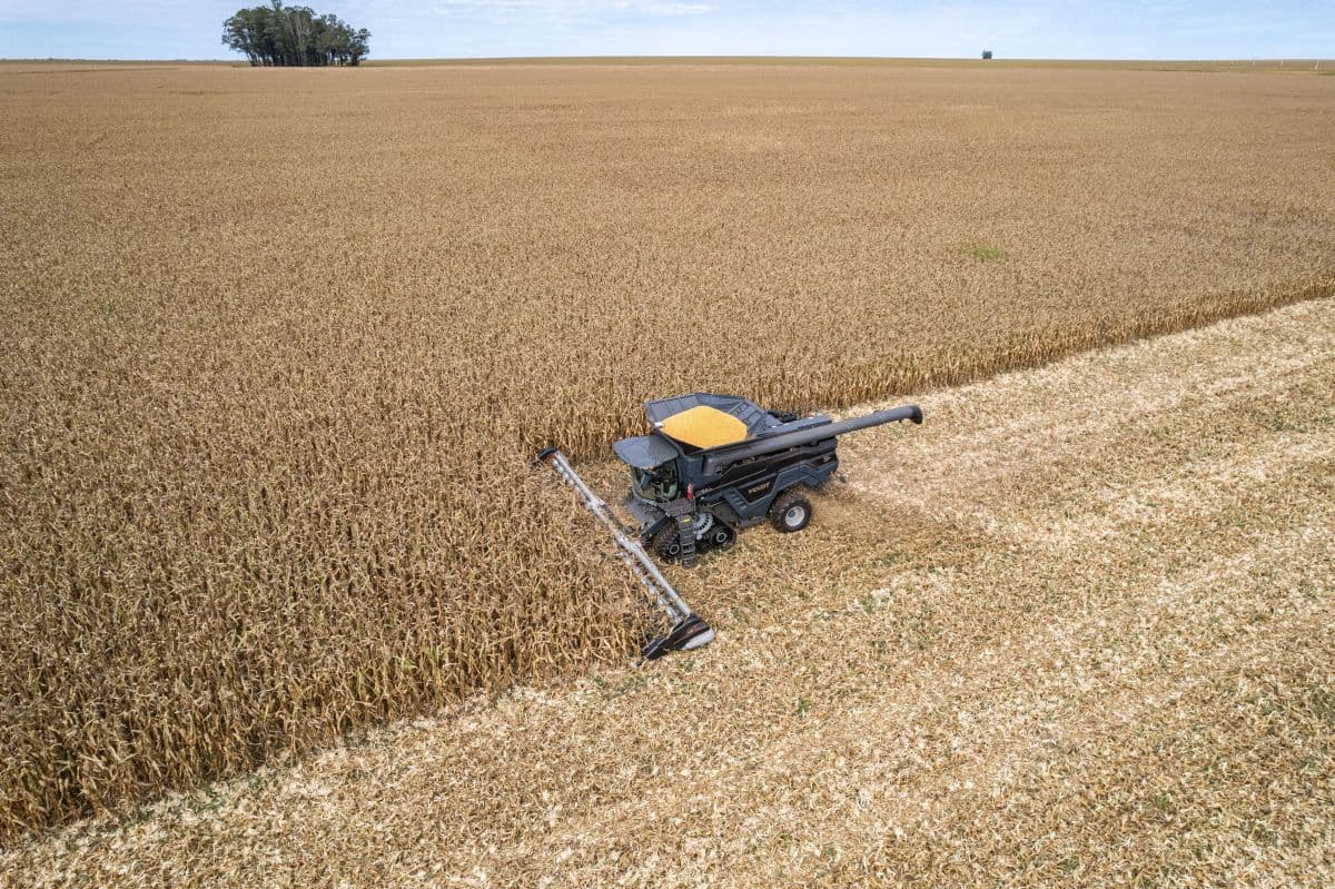 Soja e milho podem subir na Bolsa de Chicago com El Niño