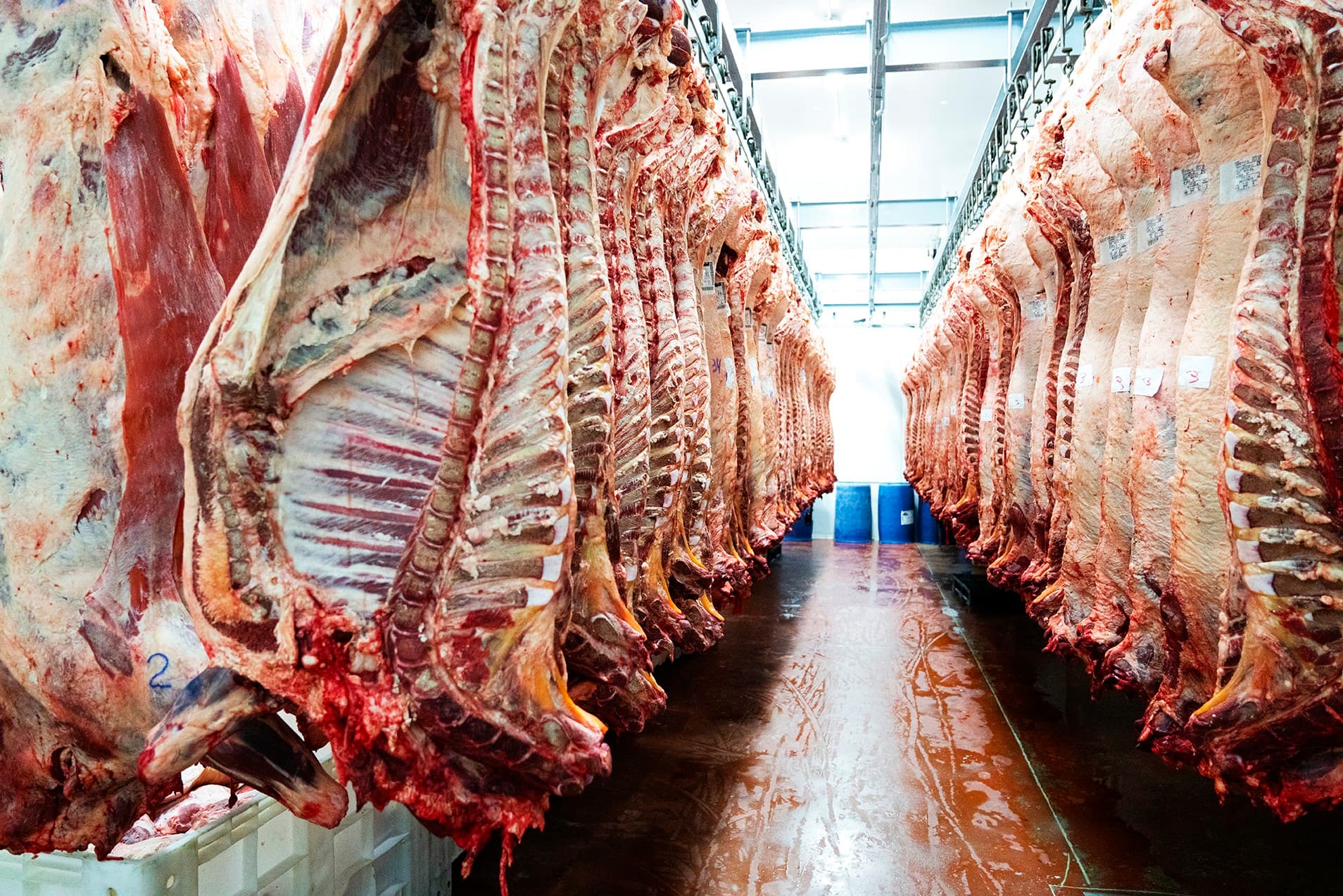 MBRF não prevê estoque de carne bovina para China