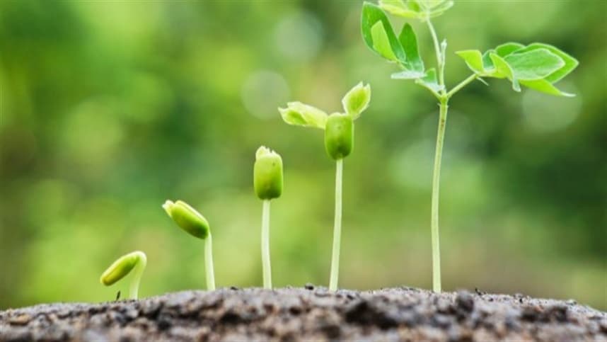 Bioestimulantes impulsionam saúde do solo e produtividade agrícola