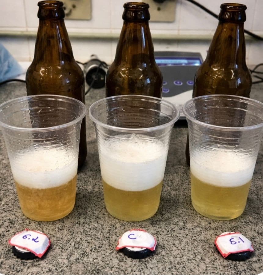 UFPB cria bebida alcoólica inovadora com soro de leite e caju