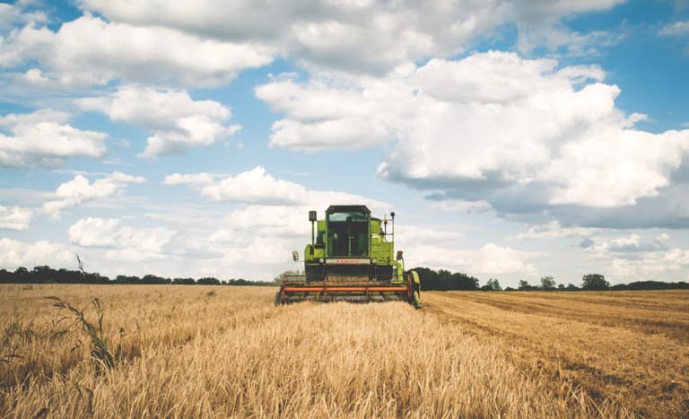 Reeleição de Lula é vista como garantia para a agricultura familiar