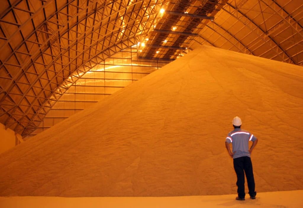 Déficit de armazenagem prejudica produção de soja no Brasil