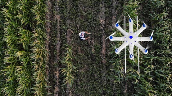 Educação e Tecnologia: desafios na adoção da inteligência artificial