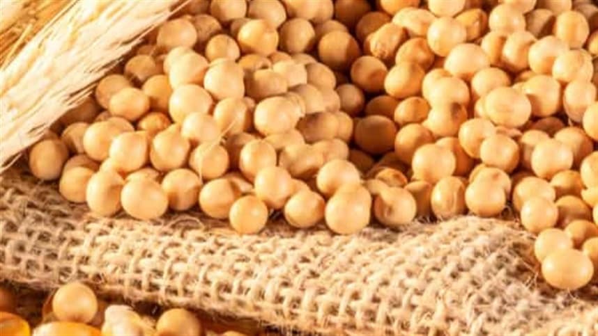 Desafios na Agricultura Brasileira em Março: Colheitas e Previsões Climáticas