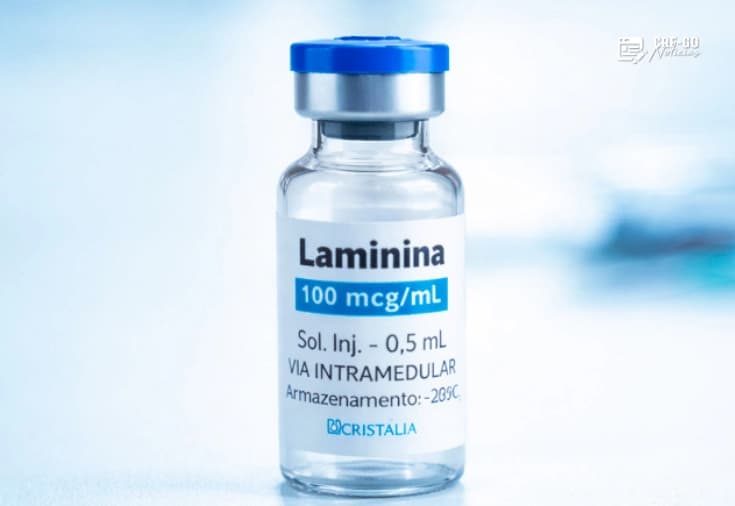 Polilaminina ganha novos dados em humanos, mas eficácia contra lesão medular ainda não está comprovada