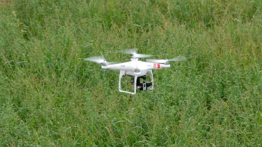 Maturador aplicado por drone otimiza desenvolvimento da cana-de-açúcar