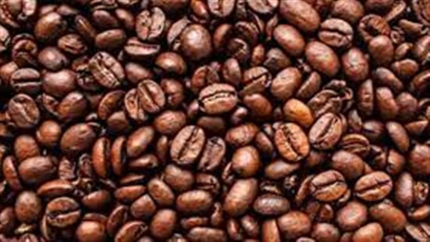 Umidade do café: fator crucial na qualidade e armazenamento