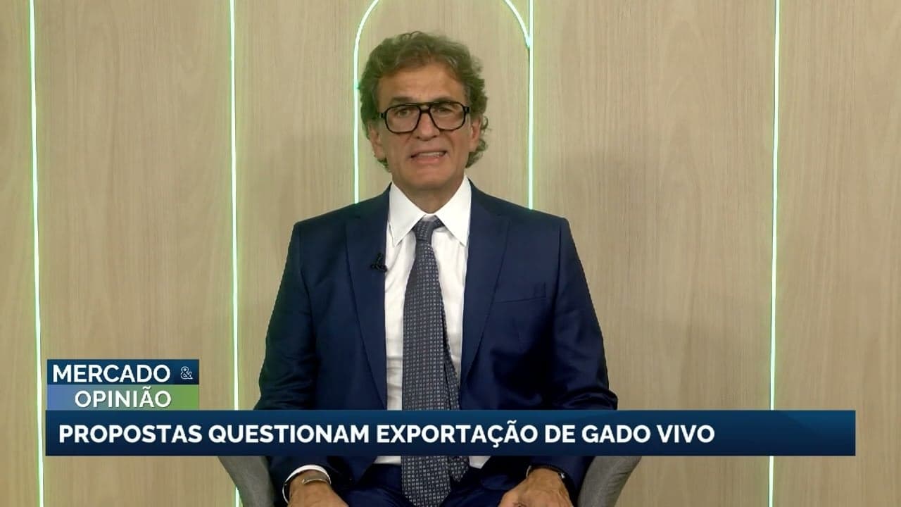 Congresso debate restrições à exportação de gado vivo no Brasil