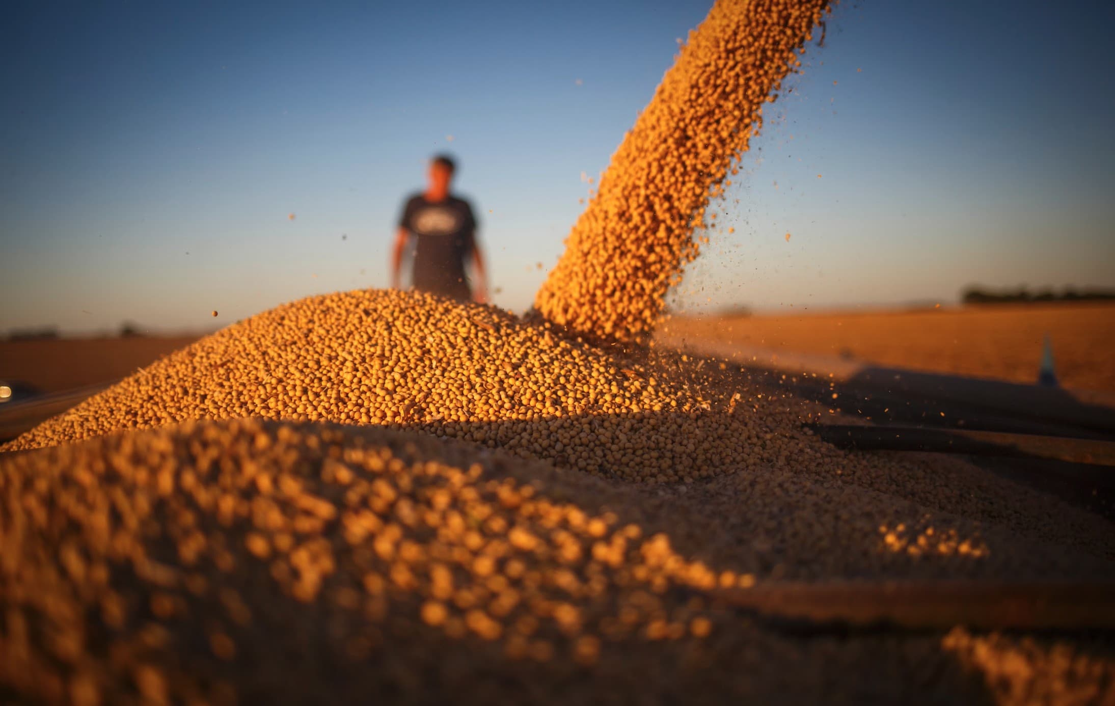 Biodiesel se destaca como chave para avanço do agronegócio brasileiro