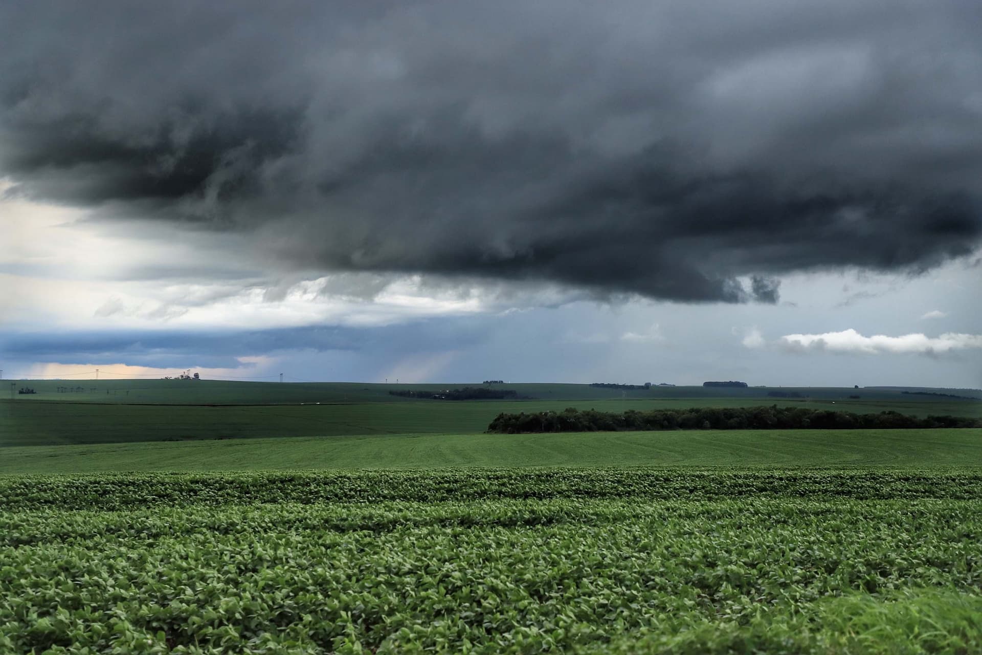 El Niño pode impulsionar produção global de soja em 2026