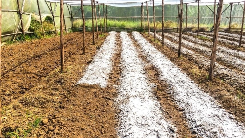 Calcário agrícola transforma manejo de solos no Brasil