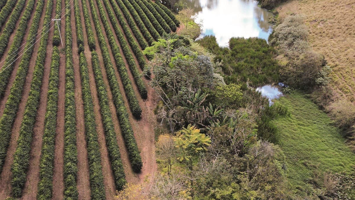 Prêmio Fazenda Sustentável reconhece propriedades rurais exemplares no Brasil