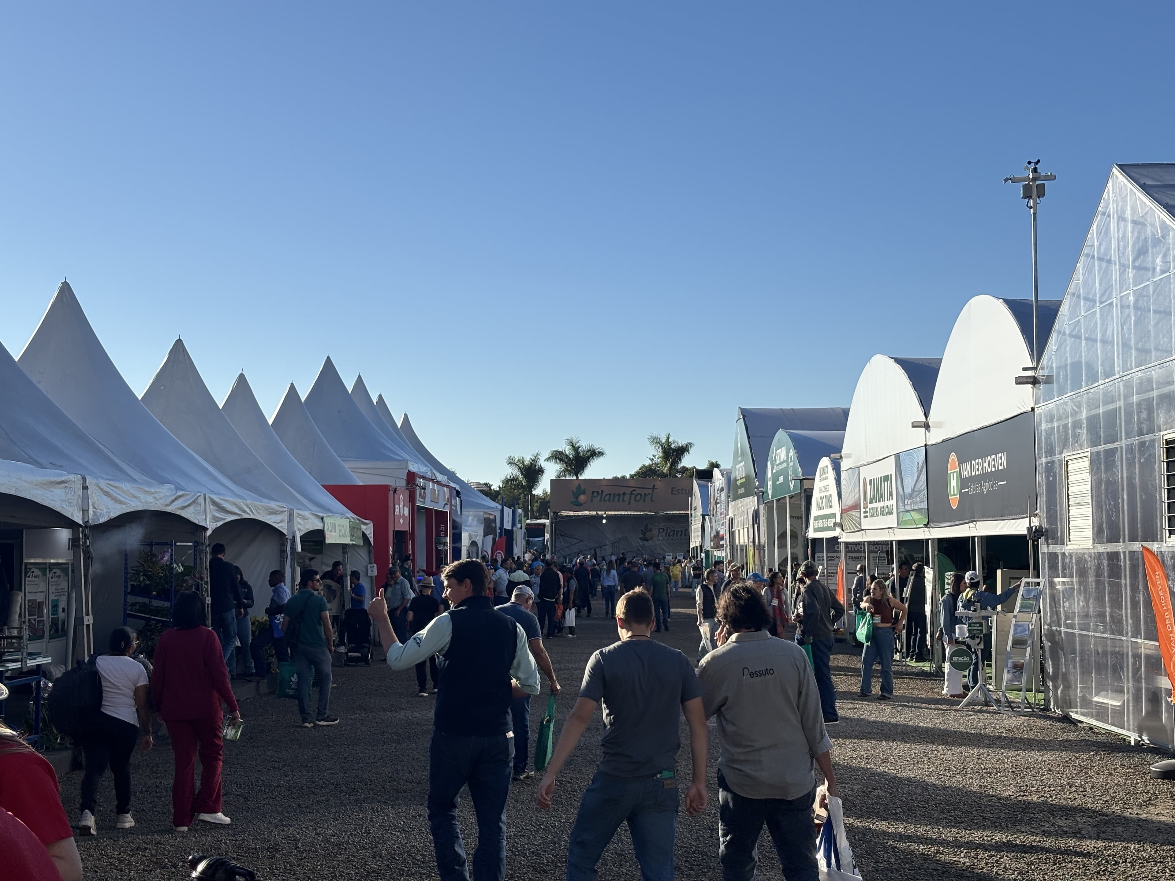 Hortitec 2026: expositores animados, mas vendas lentas em Holambra
