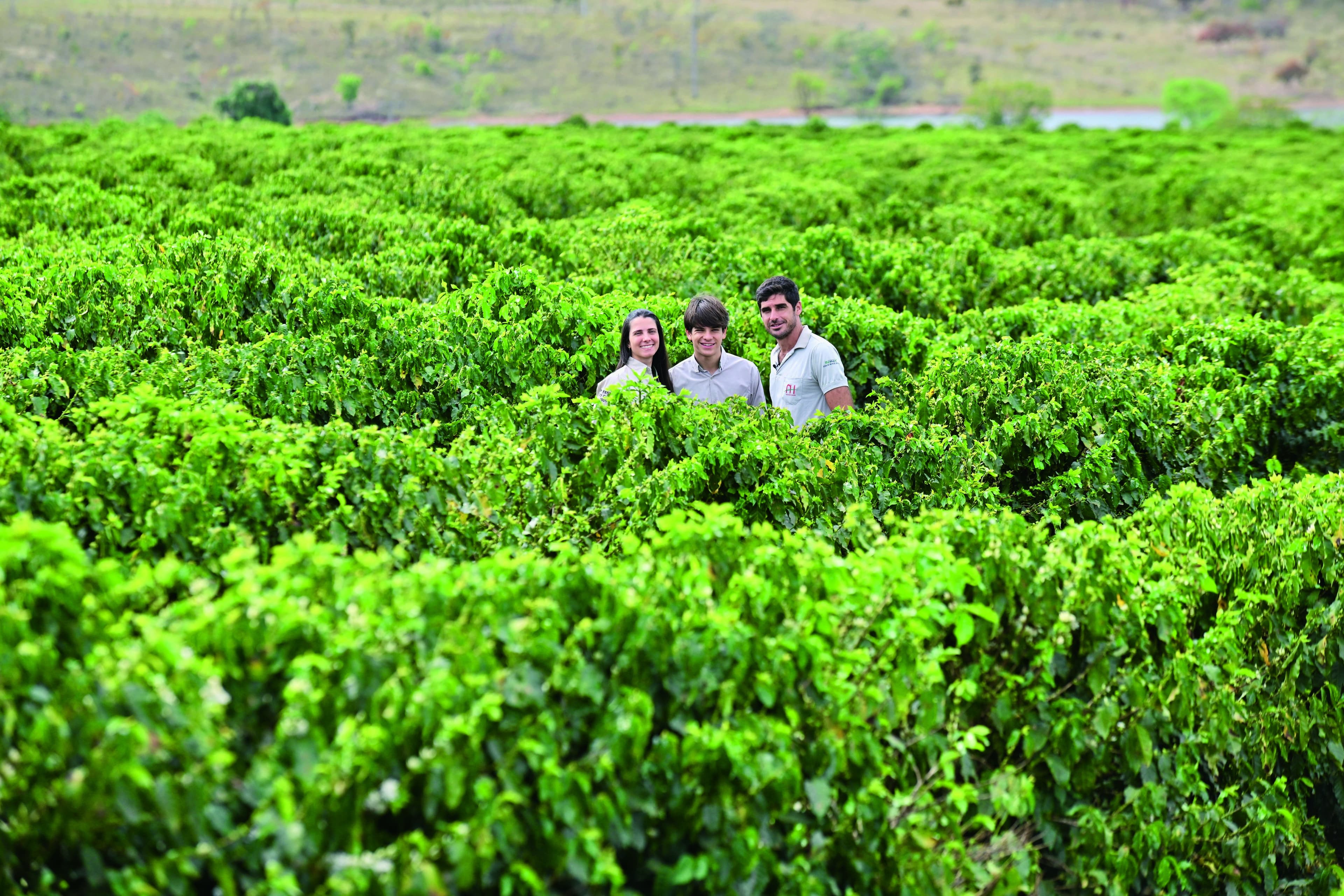 Fazenda Ouro Verde: Tradição na Cafeicultura e Inovação Ambiental