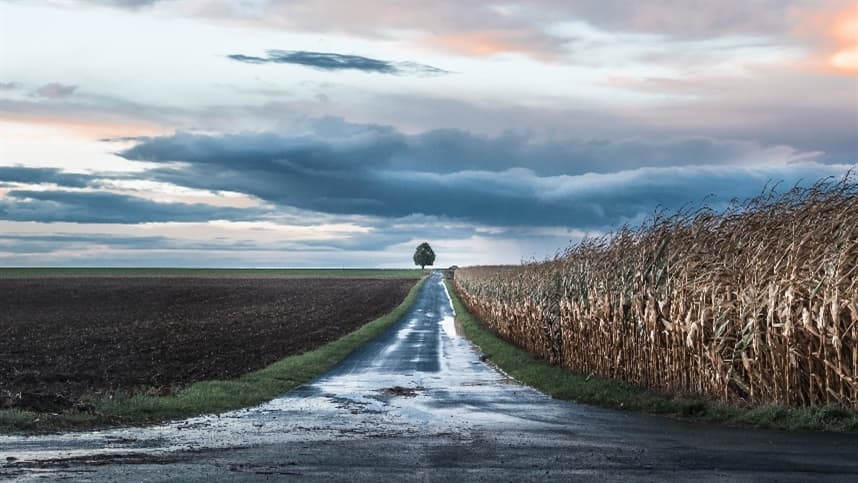Mudanças climáticas desafiam produção agrícola e demandam sistemas mais resilientes