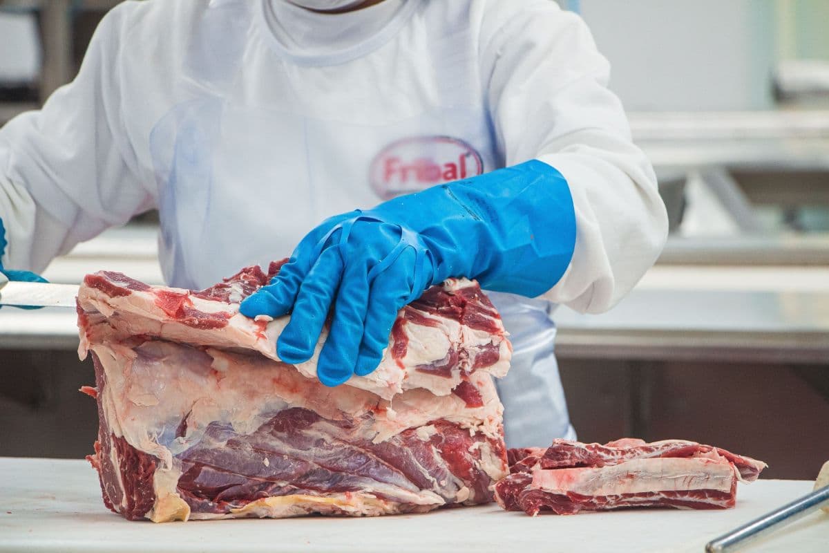 Modelo integrado revoluciona a cadeia da carne no Brasil