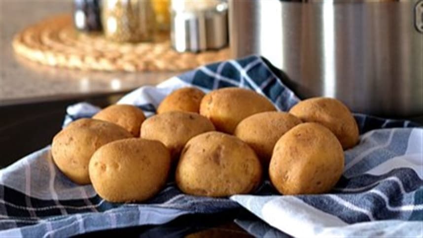 Redução de custos na produção de batatas de mesa compensa diminuição nos preços