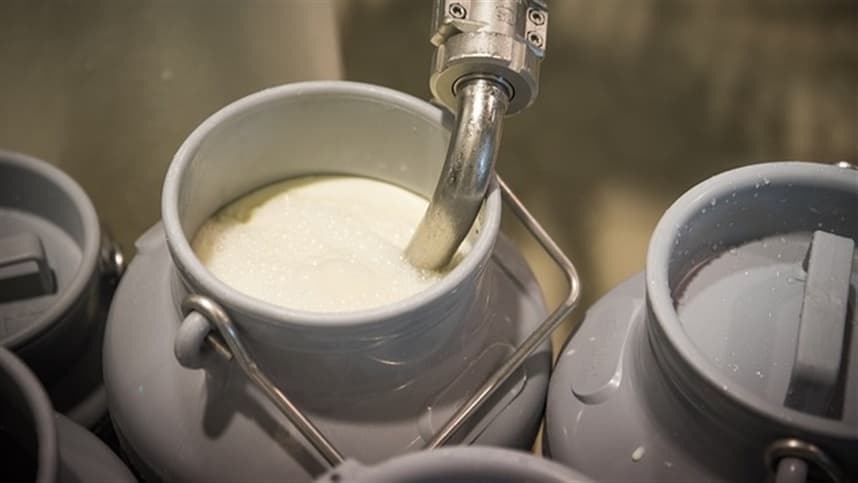 Aumento no preço do leite beneficia produtores do Paraná