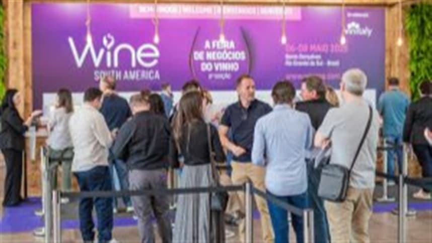 Vinícolas italianas levam 300 rótulos para Wine South America 2026