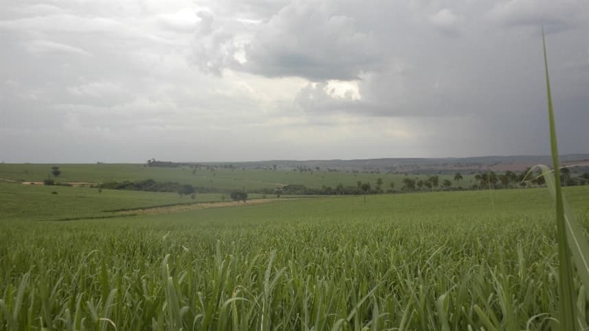 IAC promove seminário sobre conservação do solo em Campinas