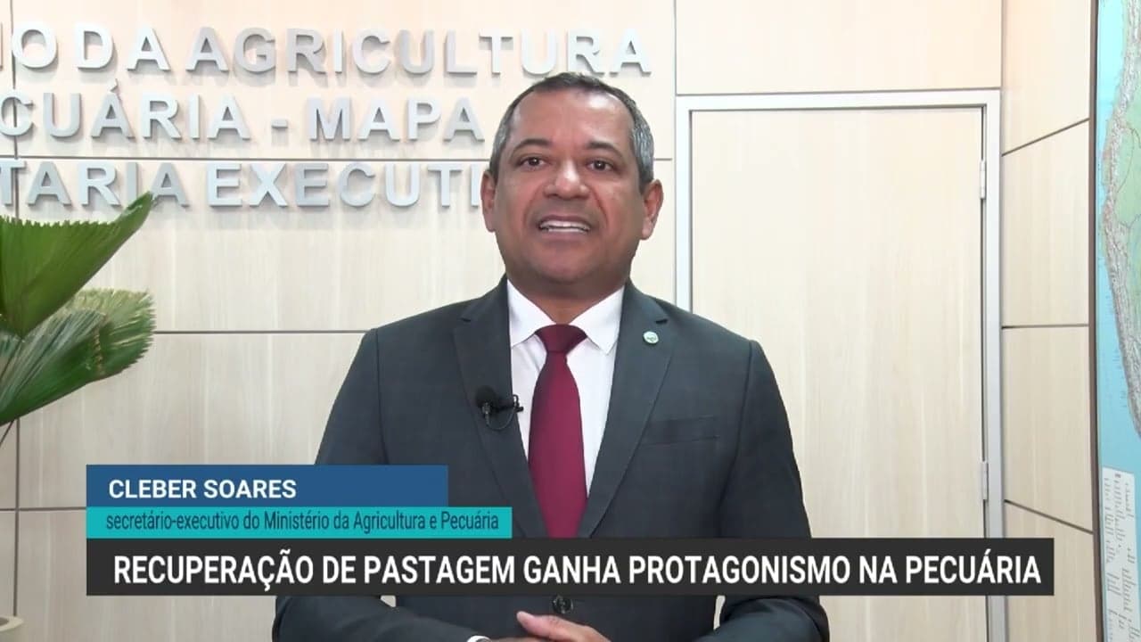 Recuperação de pastagens é crucial para a pecuária sustentável no Brasil