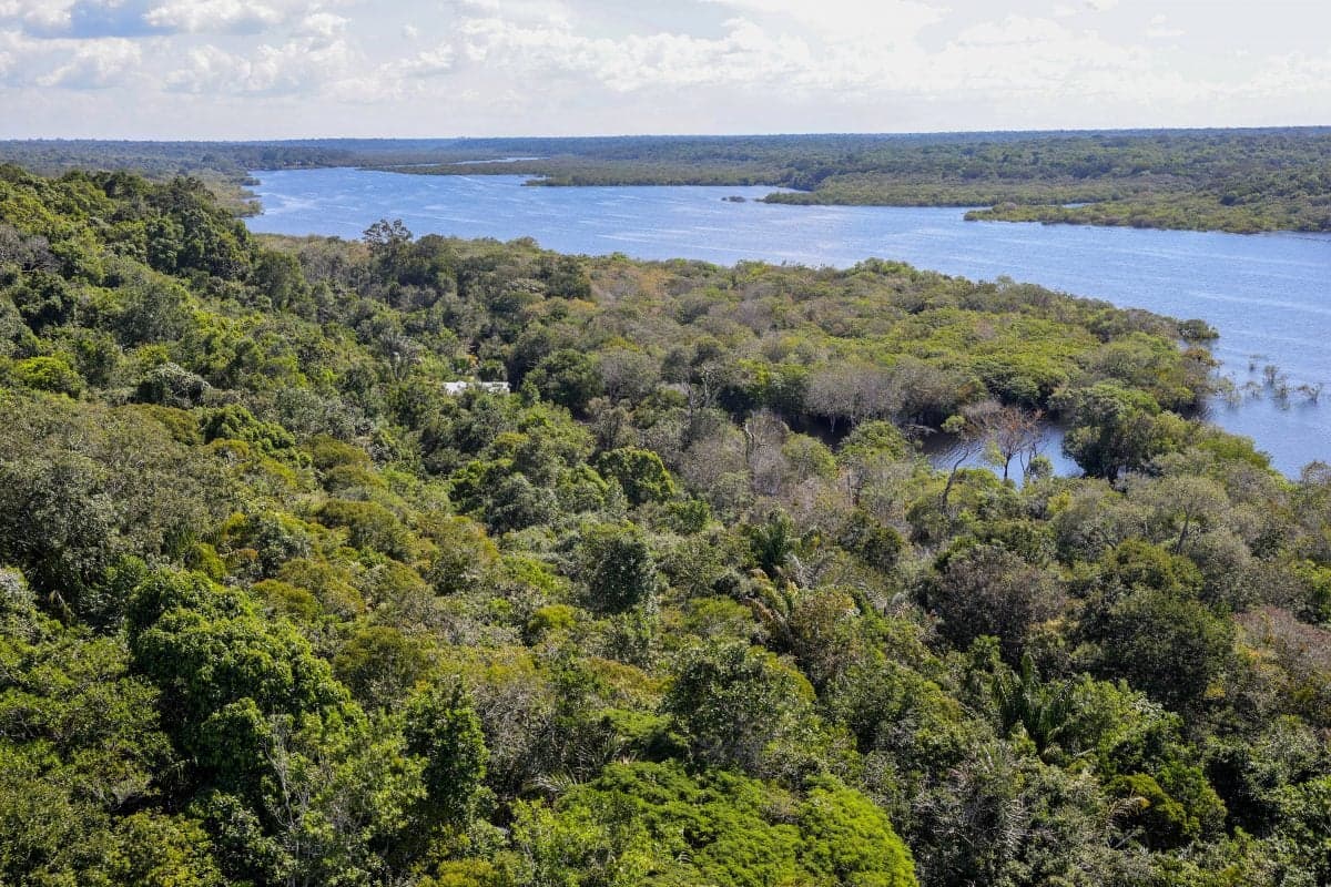Desmatamento na Amazônia brasileira atinge menor nível desde 1988