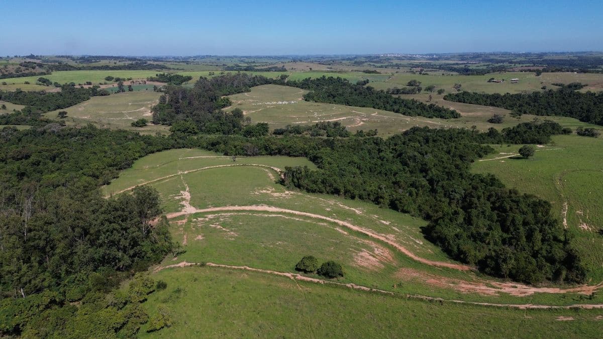TJ-SP sustenta suspensão de audiências sobre venda de áreas de pesquisa