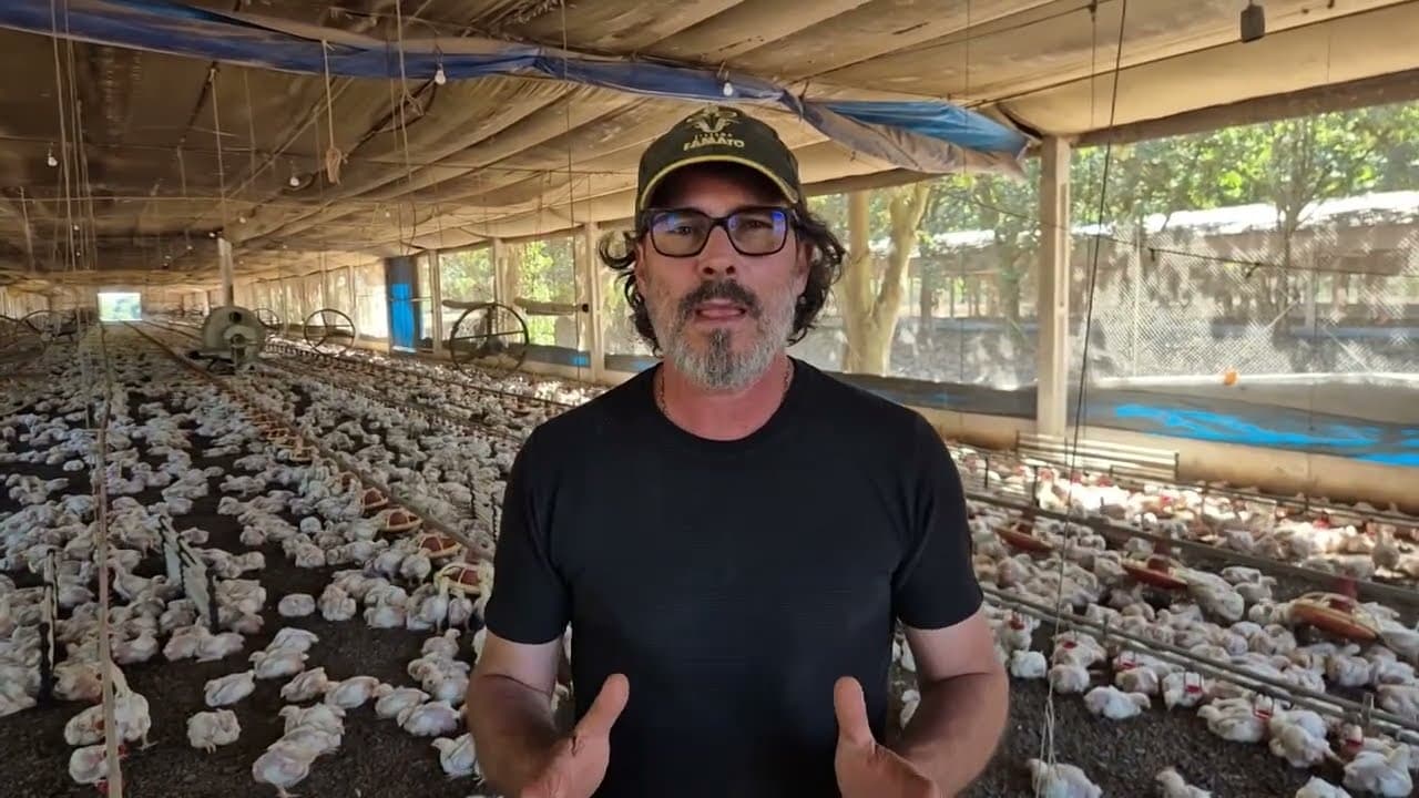 Frente Parlamentar da Avicultura é criada em Mato Grosso