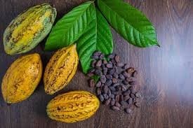 Café e cacau enfrentam quedas nos preços nesta quinta-feira