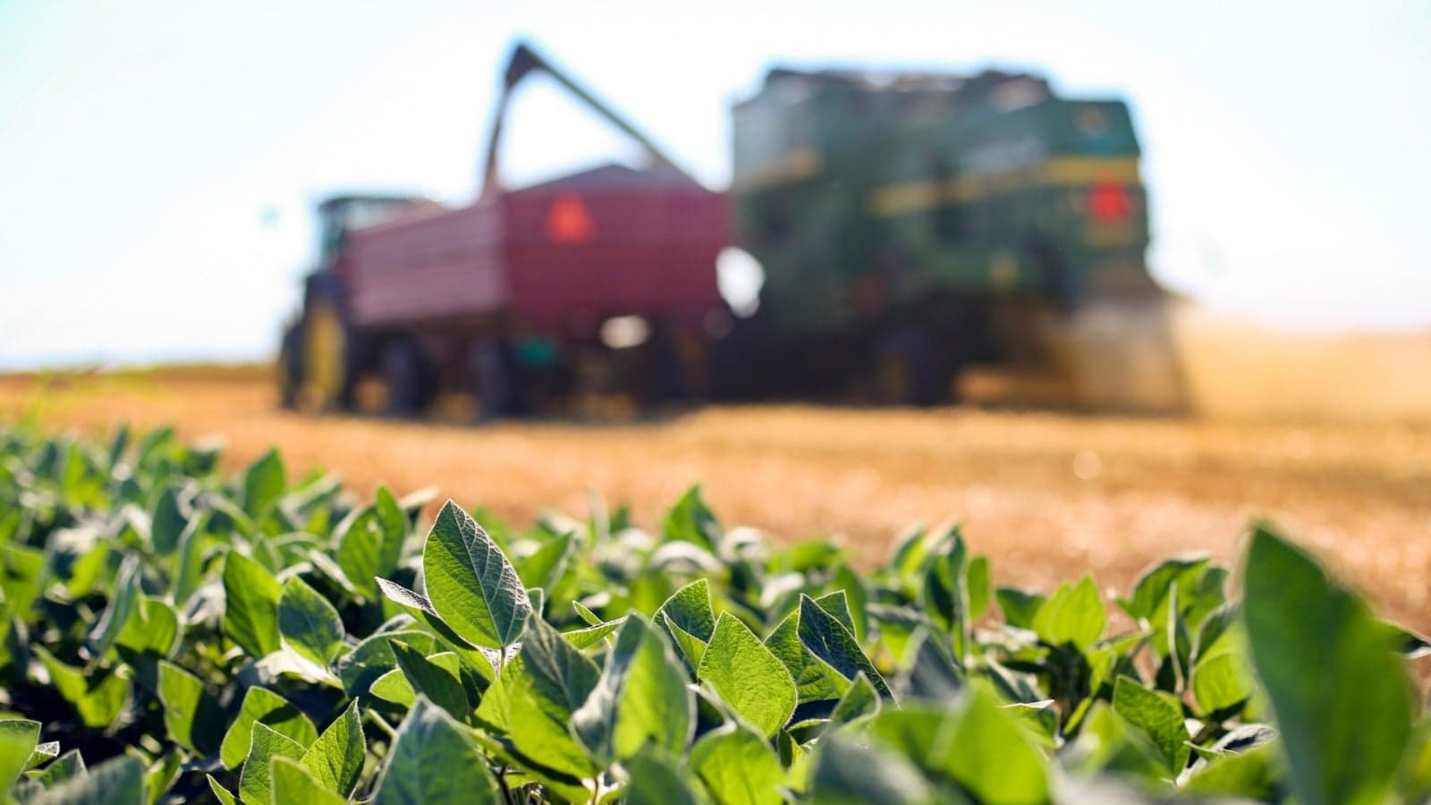 Acordo EUA-Irã traz alívio ao agronegócio com promessa de normalização