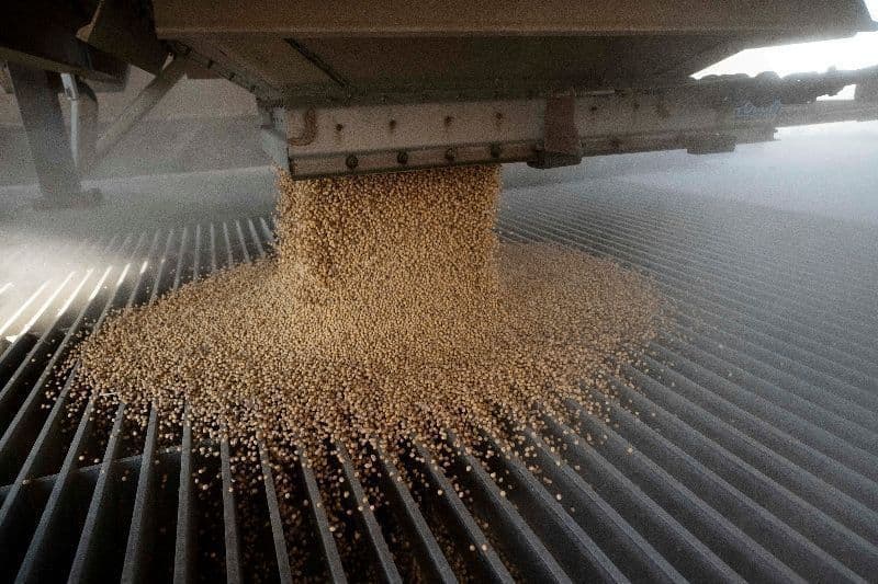 Alta no preço do óleo de soja reflete demanda global por biocombustíveis