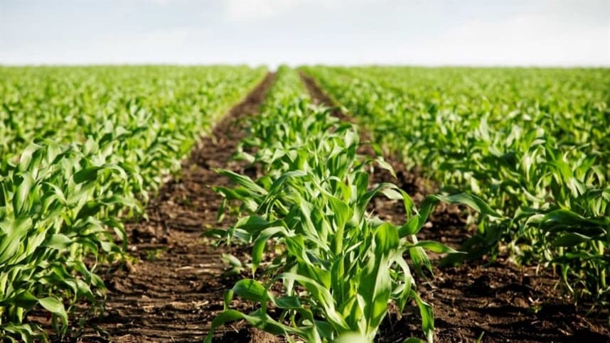 O sucesso de uma startup depende mais do que apenas uma boa ideia