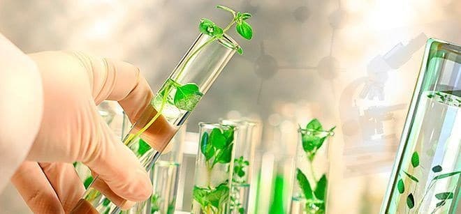 Desafios da ciência agrícola brasileira no reconhecimento internacional