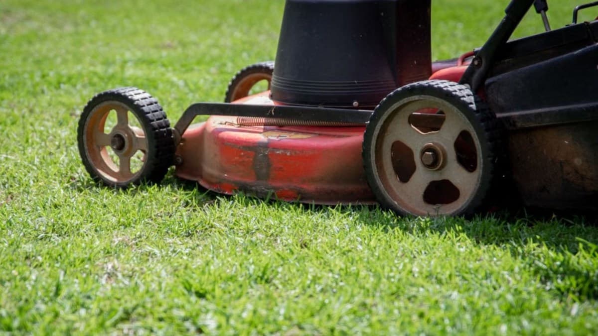 Ajuste nas lâminas do cortador é fundamental para o manejo de jardins na primavera