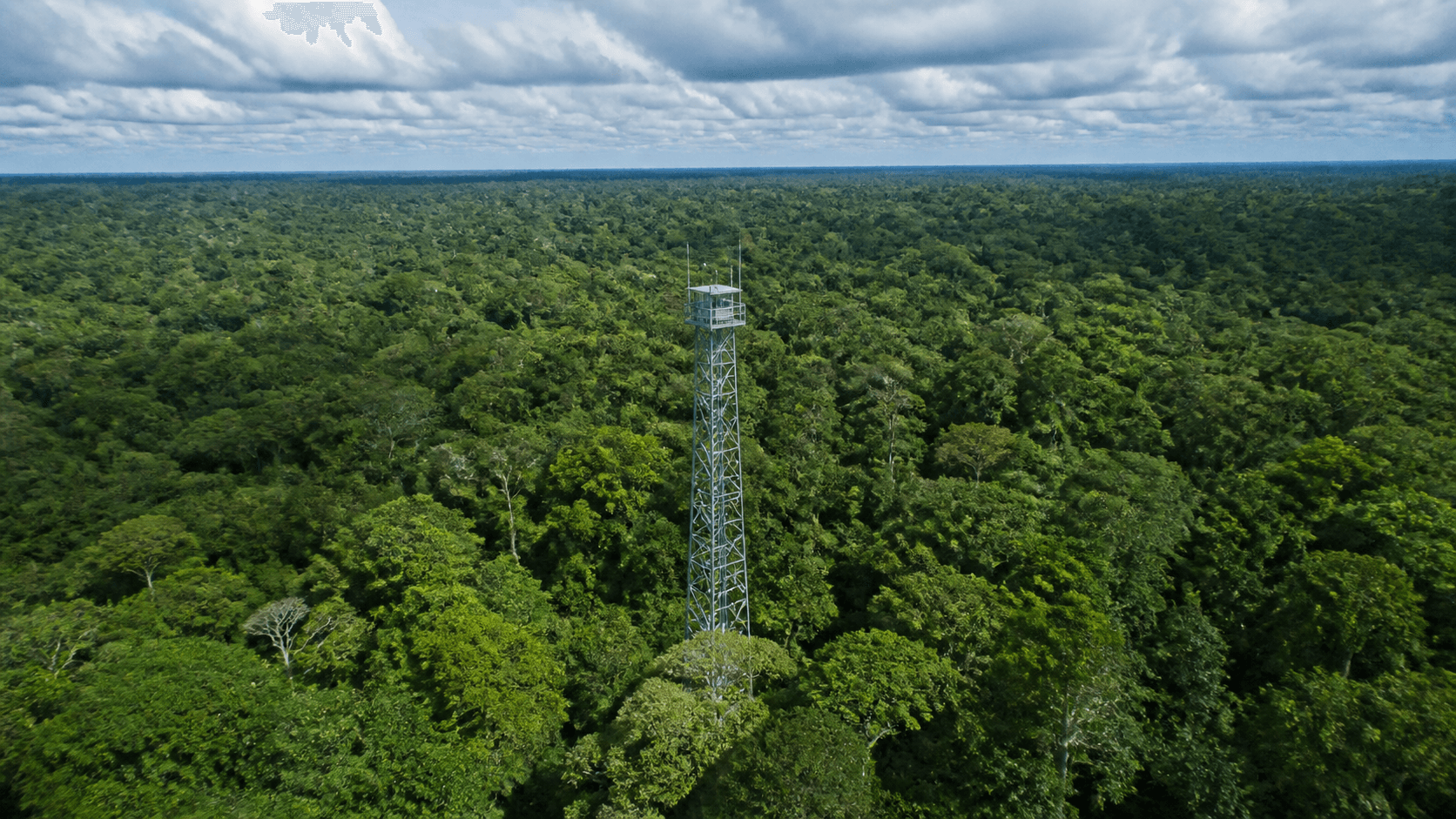 Mercado de carbono preserva 14 mil hectares em Roraima
