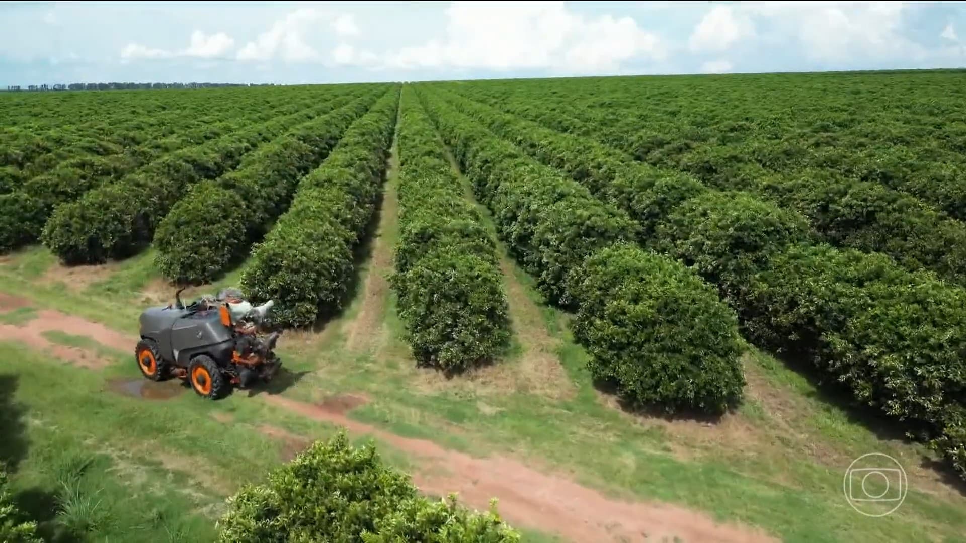 Agronegócio registra recorde de empregos, mas inadimplência aumenta