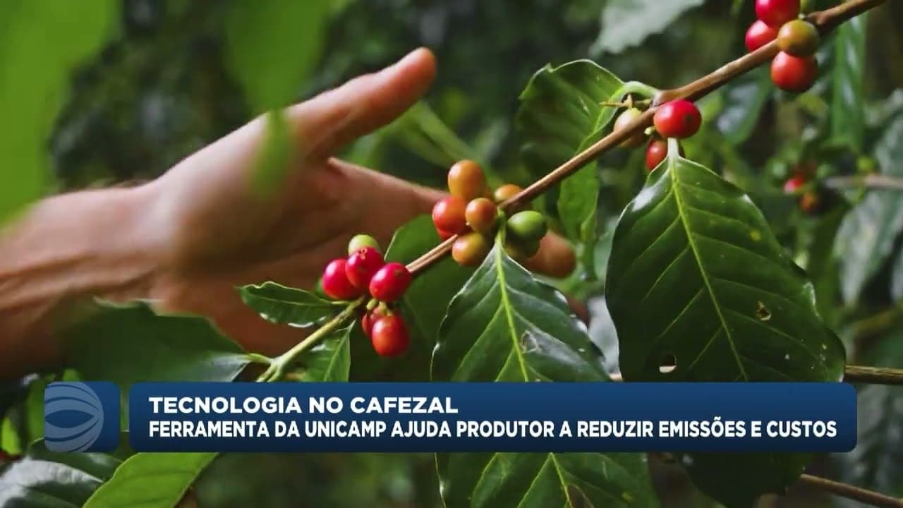 Tecnologia da Unicamp otimiza produção de café e reduz emissões